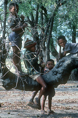 Kalahari Bushman children in Baobab Tsumkme Namibia