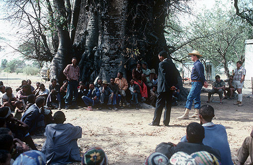 Kalahari Bushman meeting by Baobad tree Tsumkwe Namibia