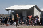 Kalahari Bushman modern Bushman hut at Tsumkwe Nambia