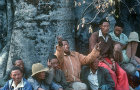 Kalahari Bushman meeting by Baobab tree Tsumkwe Namibia