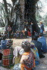 Kalahari Bushman meeting by Baobab tree Tsumkwe Namibia