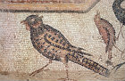 Pheasant, detail from fifth century floor mosaic in the Great Church, Mopsuestia (Misis), Cilicia, Turkey